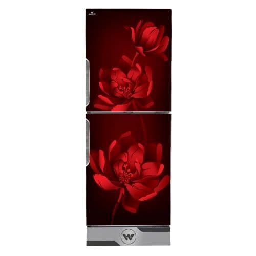 wfb-2a8-gdsh-xx-v1-id-3-500x500.jpg